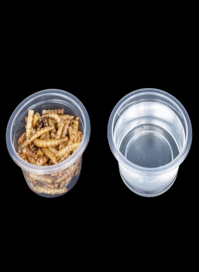 MRTIOO 100pcs 1oz Crested Gecko Food and Water Feeding Cups, Reptile Feeder Bowls, for Lizard and Other Small Pet Ledge Accessories Supplies - Image 3